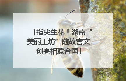 指尖生花！湖南“美丽工坊”随故宫文创亮相联合国